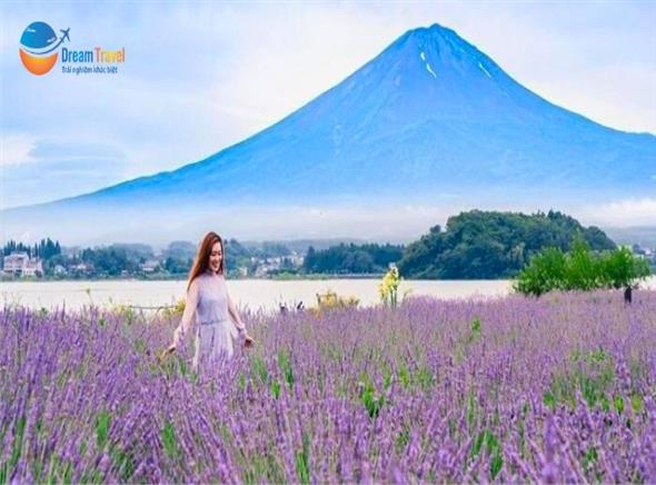[HCM] Tour Du Lịch Nhật Bản Hành Trình Vàng Mùa Hè 6N5Đ